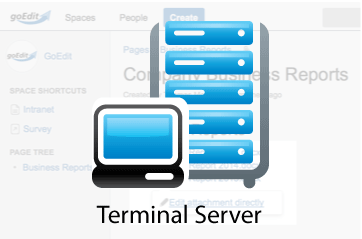 GoEdit in a terminal server environment